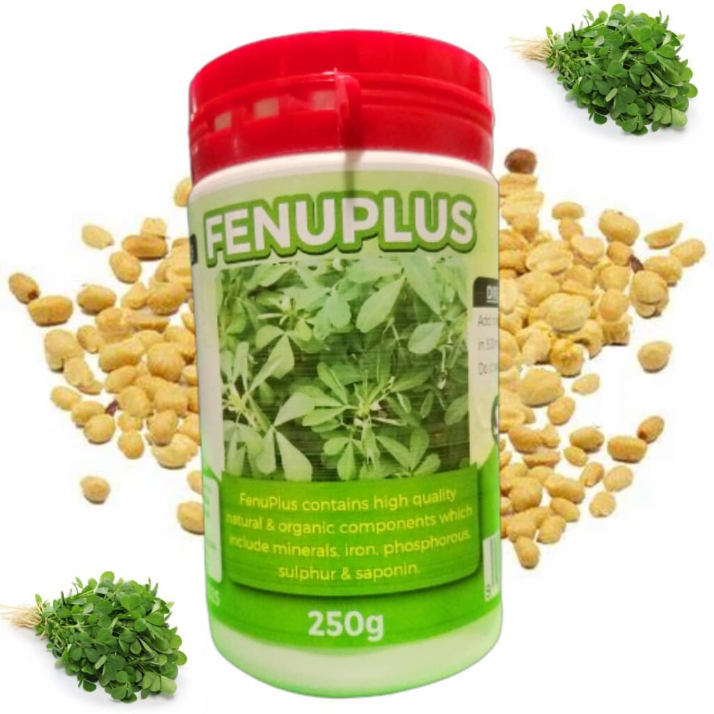 Home img 20250825 wa0009