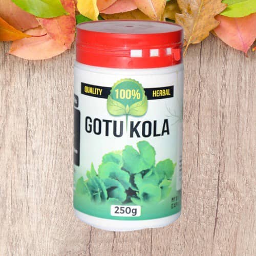 Home img 20250825 wa0013